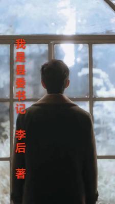 我是县委书记60章免费阅读