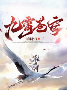 九霄苍穹录红包