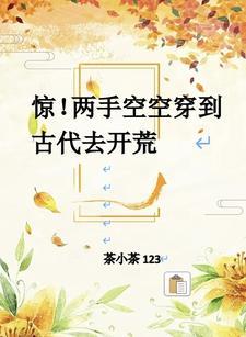 两手空空 的意思是什么