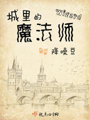 城里的魔法师TXT百度全本