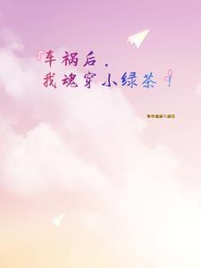 车祸后我以为我穿书了在线阅读