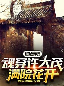 四合院许大茂的美丽人生