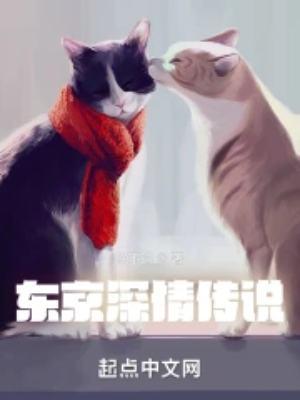 东京深情传说无防盗