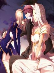 卫宫士郎最后