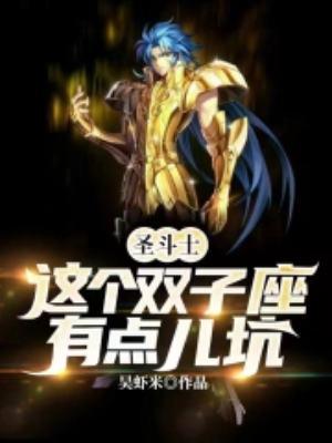 lc圣斗士双子座