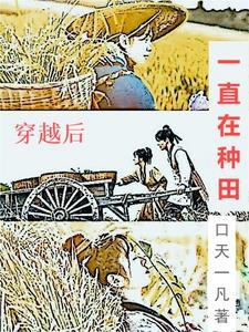 穿越后种田养夫郎全文