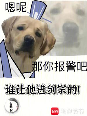 谁让他进剑宗的百度