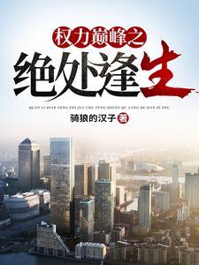 权力巅峰最新