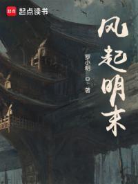 风起明末读书吧