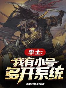 率土之滨能多开吗