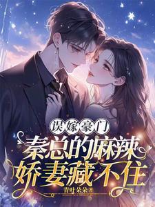 我的隐婚男神免费阅读