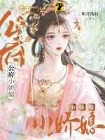 公府娇媳江南梅萼