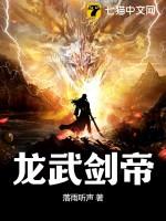 龙武帝极剑材料