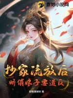 古言抄家流放类