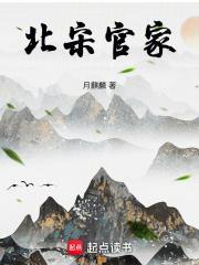 北宋官家八一中文网