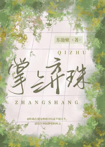 掌上弃珠 剧透