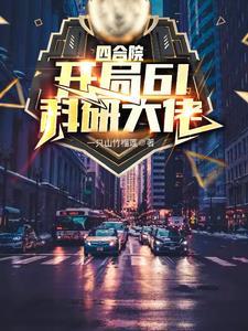 四合院之九级工程师
