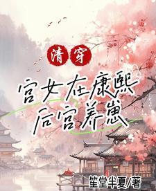 清穿之康熙的皇后