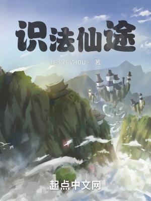 识法仙途好不好看
