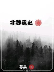 北魏传奇