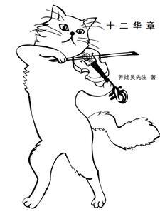 十二华载打一动物