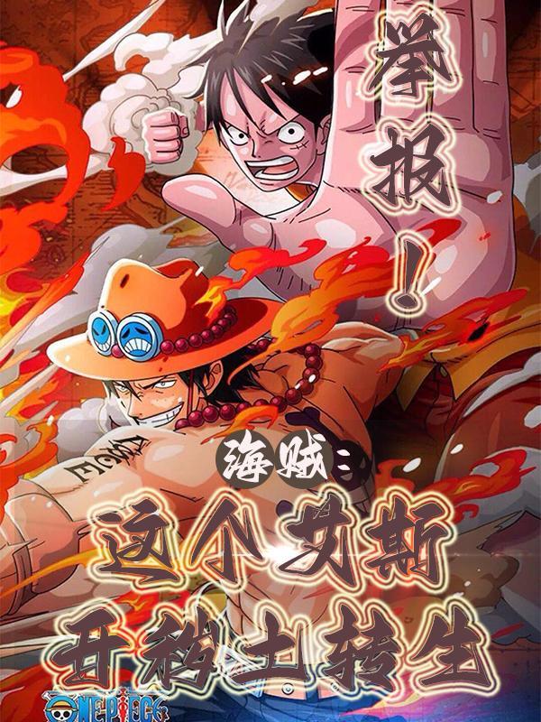 海贼王艾斯坑爹