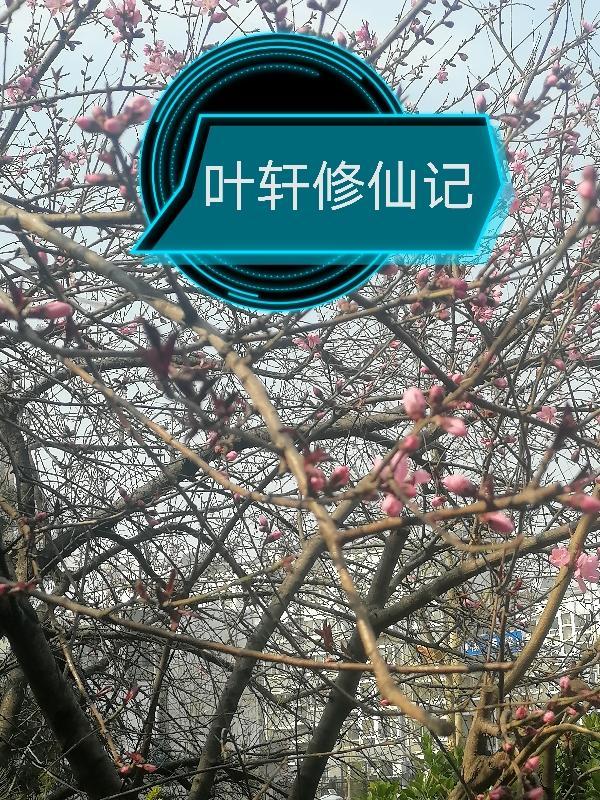 主角是叶轩