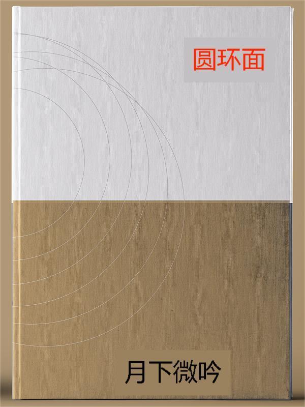 圆环面积积分公式