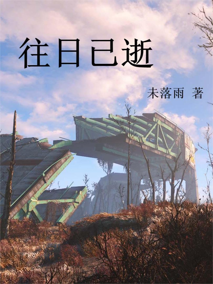 往日已逝中文设置