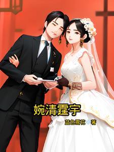 婉清的电视剧