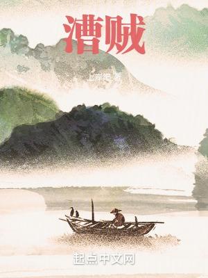 漕贼TXT