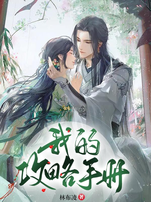 攻略手册是什么意思