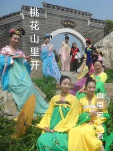 桃花山是什么歌
