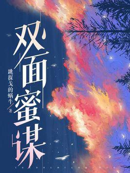 双面第14集