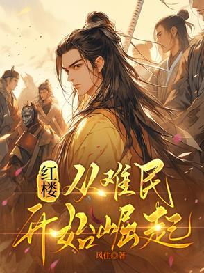 从红楼开始拯救名著起点