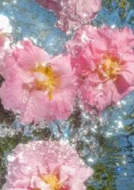 涉江采芙蓉采用对写法的诗句