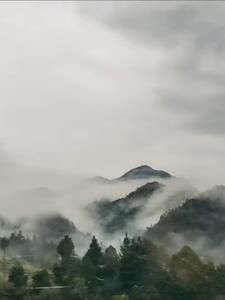 神秘复苏游戏