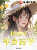 不负韶华的七言诗