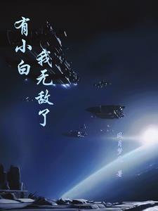 风月讲的是什么内容