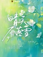 晴天不落雪江晴笙律师