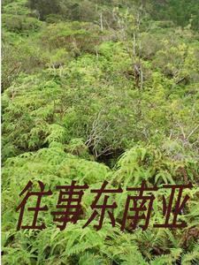 逗留在缅北人员详细名单