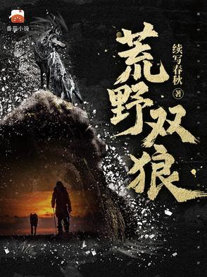 荒野双狼完结版
