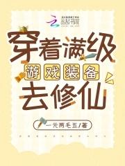 满级穿越游戏的