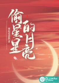 偷星星的月亮是什么歌