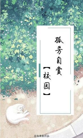 孤芳自赏上一句是什么