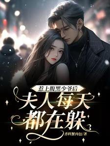 惹上腹黑坏老公