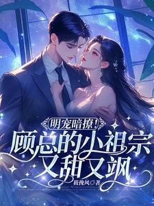 顾总的小祖宗惊飒全球沈浮橙