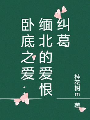 电视剧 卧底