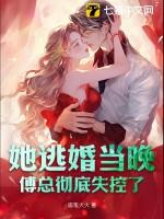 她闪婚嫁到傅家