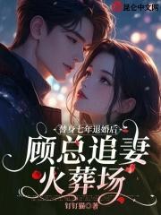 替身宠妻要上天顾小北
